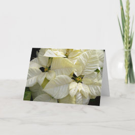 White Poinsettias Helgkort