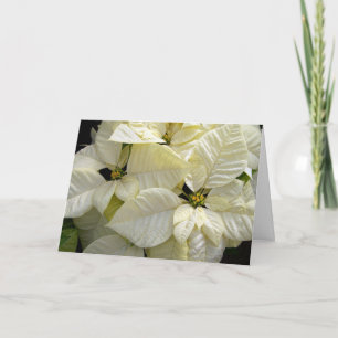 White Poinsettias Helgkort