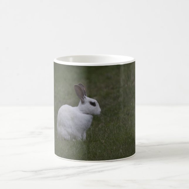 White Point Bunny Kaffemugg (Center)