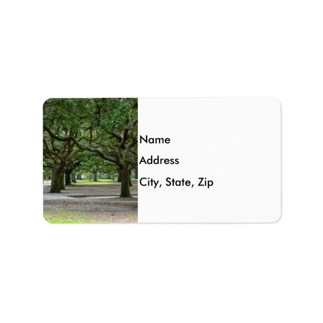 White Point Gardens Painterly Adressetikett (Framsidan)