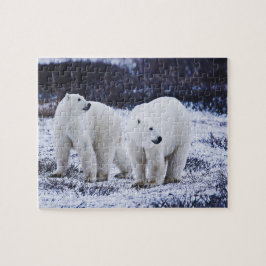 White Polar Bears Jigszle Puzzle Pussel