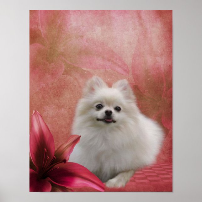 White Pommern Hund Lily Flowers Animal Art Poster (Framsidan)