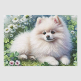 White Pommern Hund Watercolor Klöver Decoupage