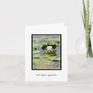 White Pond Lily Sympathy Card Kort