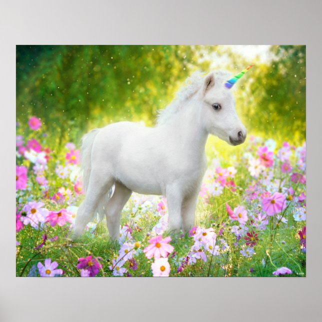 White Pony Unicorn Poster (Framsidan)