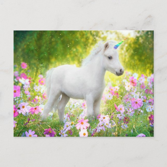 White Pony Unicorn Vykort (Framsida)