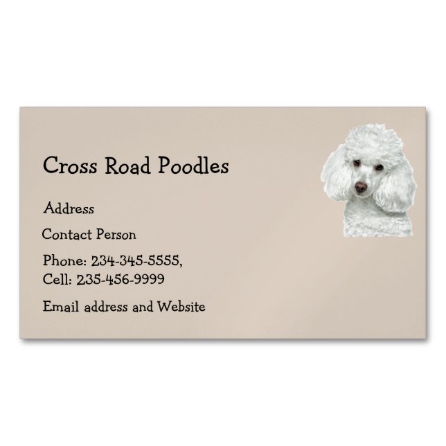 White Pudel Hund Pet Anima Magnetiska Visitkort (Framsida)