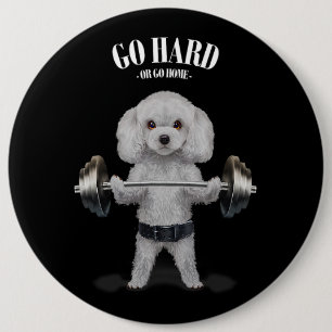 White Pudel Hund Weightlift i Fitness Gym Knapp