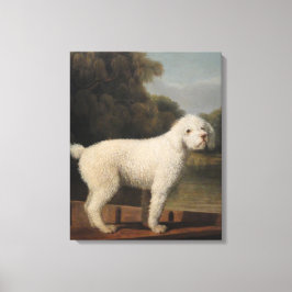 White Pudel i fitta (av George Stubbs) Canvastryck