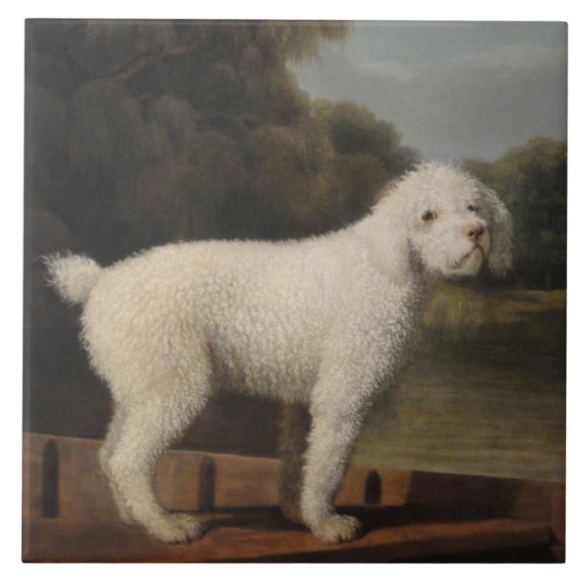 White Pudel i fitta (av George Stubbs) Kakelplatta (Framsidan)