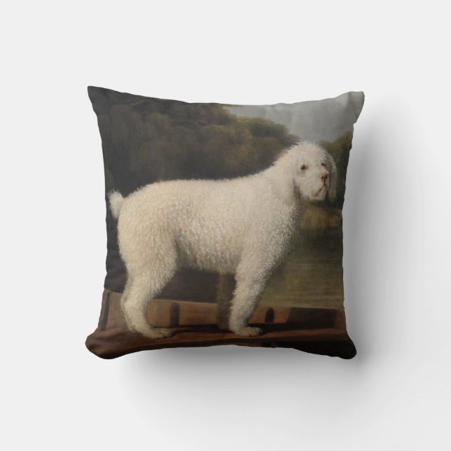 White Pudel i fitta (av George Stubbs) Kudde (Framsida)