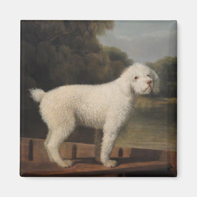 White Pudel i fitta (av George Stubbs) Magnet (Framsidan)
