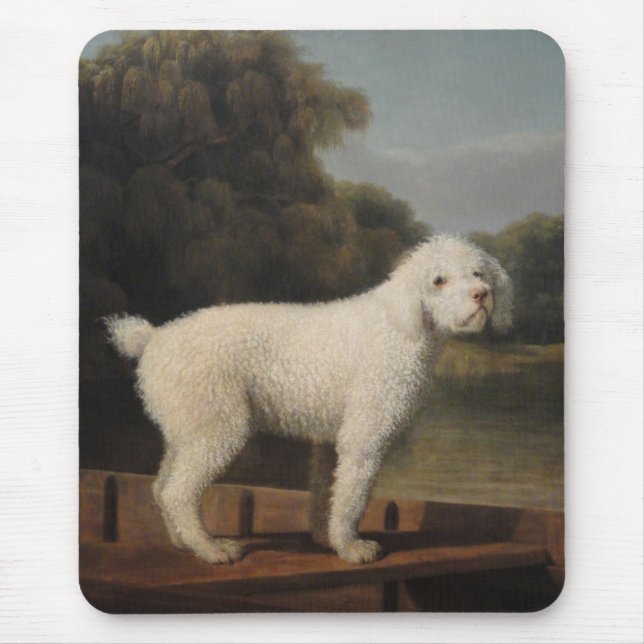 White Pudel i fitta (av George Stubbs) Musmatta (Framsidan)