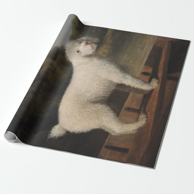 White Pudel i fitta (av George Stubbs) Presentpapper (Utrullad)