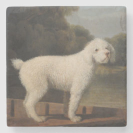 White Pudel i fitta (av George Stubbs) Stenunderlägg