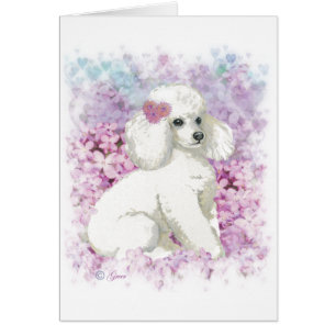 White Pudel i Lilacs Art och presenter Hälsningskort
