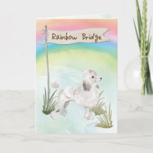 White Pudel Pet Sympathy over Rainbow Bridge Kort