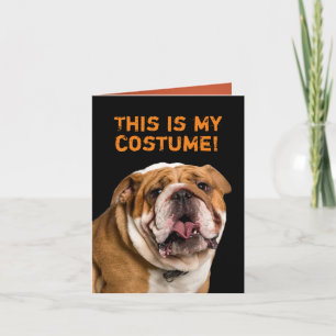 White Pudel, tryckt som Bulldog Halloween Kort