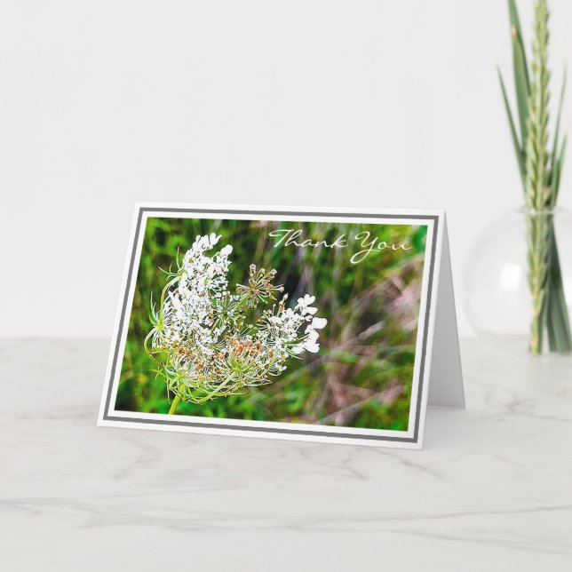 White Queen Anne's Snöre Flower i Grönt Fält Kort (Framsida)