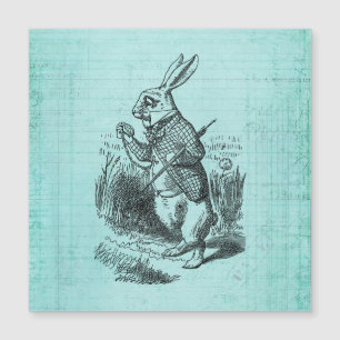 White Rabbit Alice i Wonderland Art