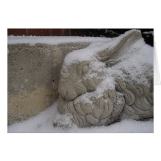 White Rabbit OBS Kort