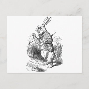 White Rabbit Vykort