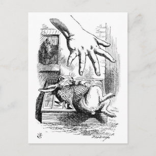 White Rabbit Vykort