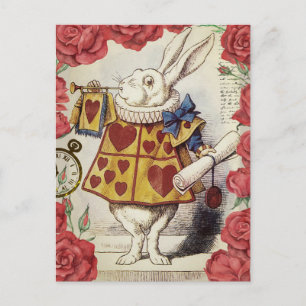 White Rabbit Vykort