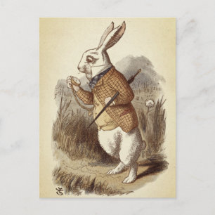 White Rabbit Vykort