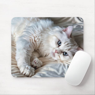 White Ragdoll Cat Musmatta
