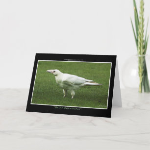WHITE RAVEN HELGKORT