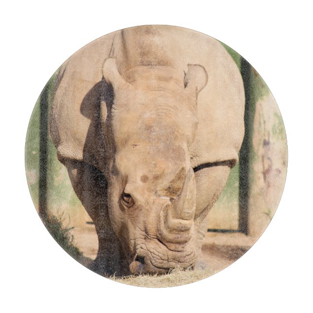 White Rhino (Framsidan)