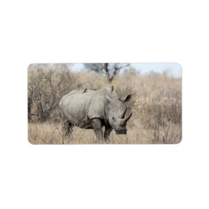 White Rhino Adressetikett
