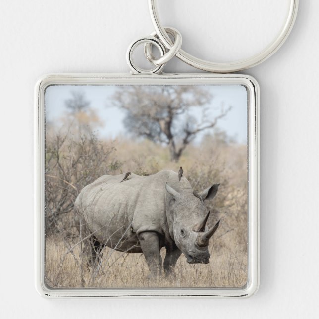 White Rhino Fyrkantig Silverfärgad Nyckelring (Framsidan)