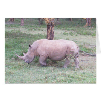 White Rhino Hälsningskort