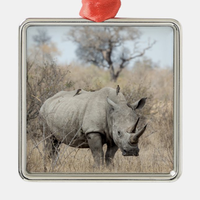 White Rhino Julgransprydnad Metall (Framsidan)