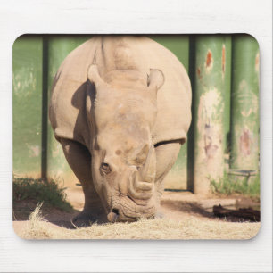 White Rhino Musmatta