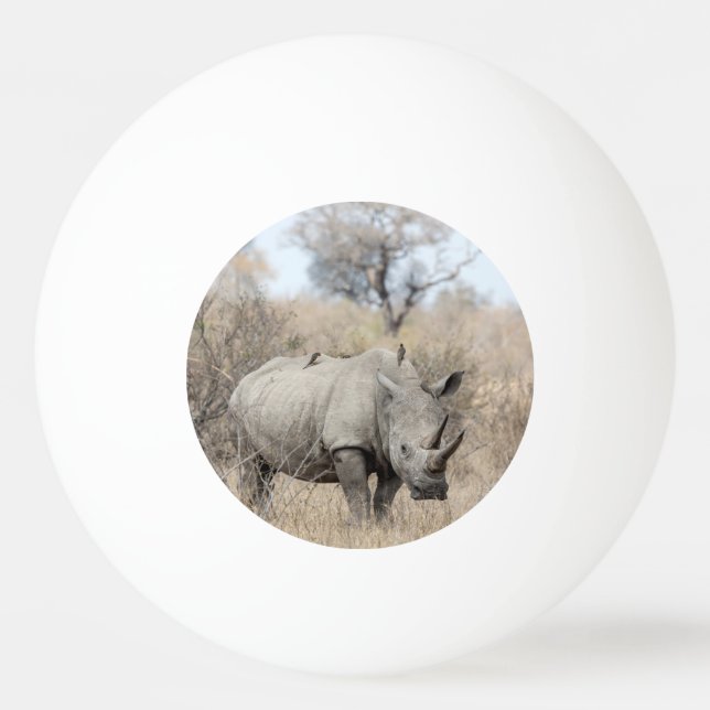 White Rhino Pingisboll (Framsidan)