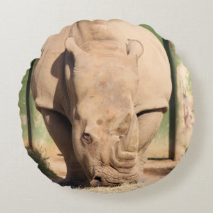 White Rhino Rund Kudde