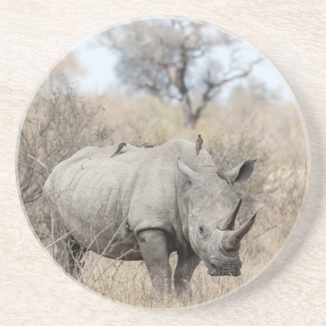 White Rhino Underlägg (Framsidan)