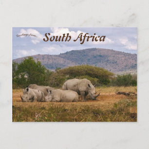 White Rhinos Hluhluwe-iMfolozi Park South Afrika Vykort