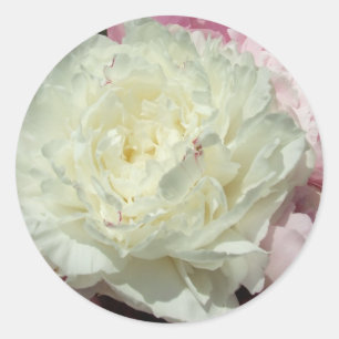 White Rosa Peonies / Peony Bröllop Round Stickers Runt Klistermärke