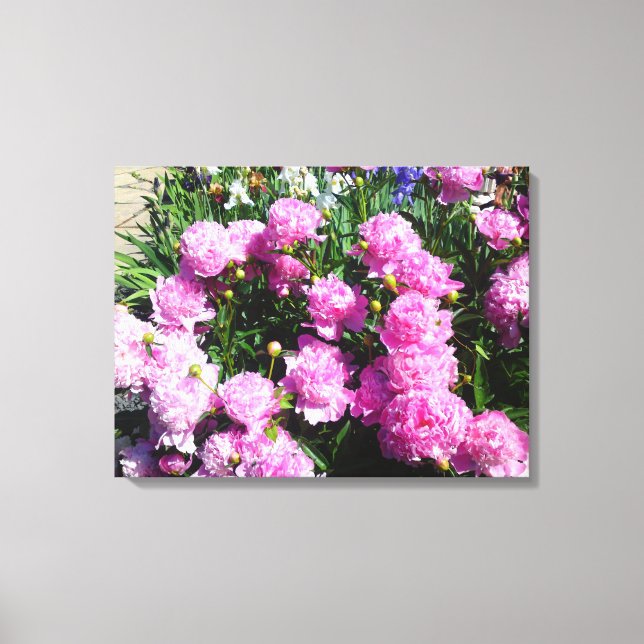 White Rosa Peony Flower Canvas (Framsida)