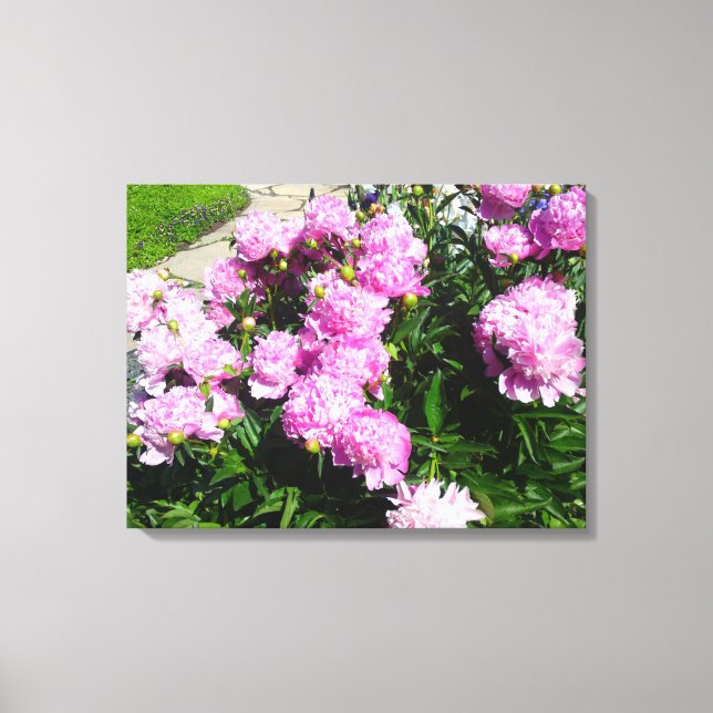 White Rosa Peony Flower Canvas (Framsida)