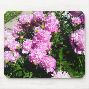 White Rosa Peony Mousepad Musmatta