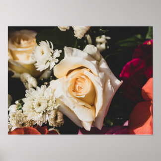 White Rose Fotografering Poster