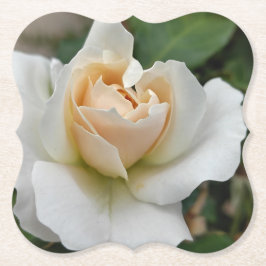 White Rose Underlägg Papper