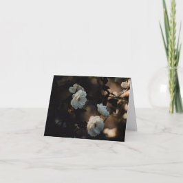 White roses in moody light, Sympathy Kort
