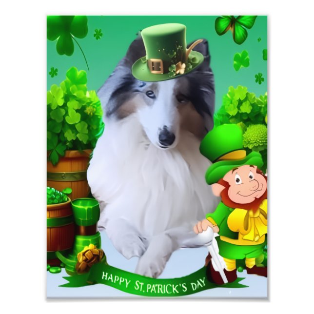 White Rough Collie celebrating St. Patrick's Day Fototryck (Framsidan)