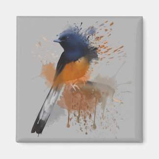 White Rumped Shama Bird Magnet